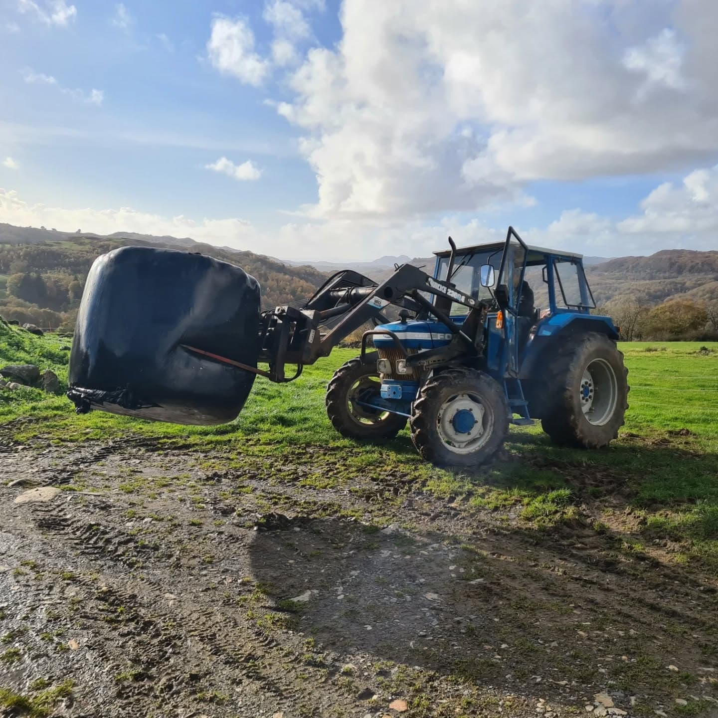 July update from the farm