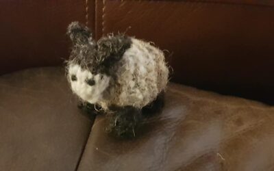 Helens Woolly Crafts